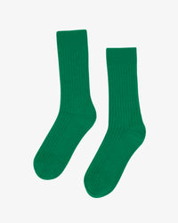 Vert Kelly