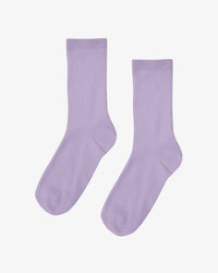 Soft Lavender